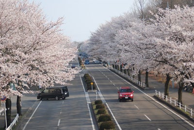 芳賀町