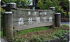 県民の森