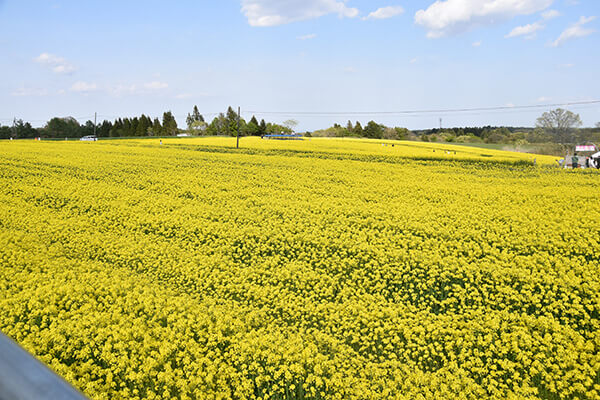 那須ハートフルファーム