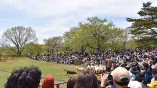 那須どうぶつ王国