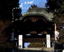 二荒山神社2