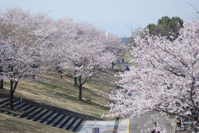 さくら市勝山公園