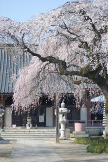 淨蓮寺