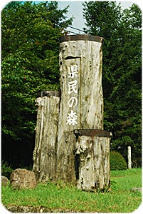 県民の森 入口