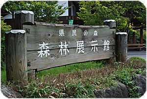 県民の森 森林展示館