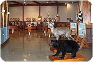 県民の森 森林展示館 熊 鹿