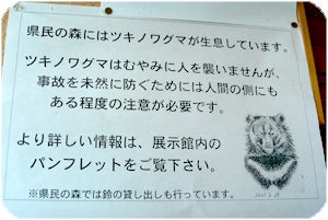 県民の森　熊　注意