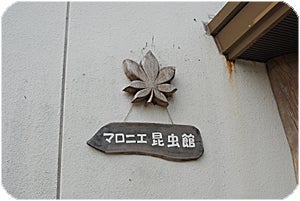 森林展示館 マロニエ昆虫館 外