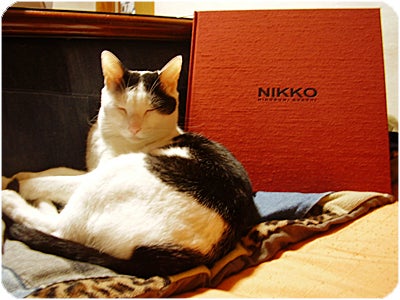 眠り猫とNIKKO