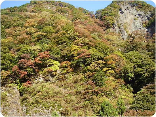 袋田の滝