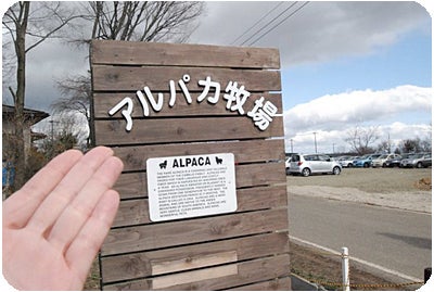 ひばらさんの栃木探訪-アルパカ牧場