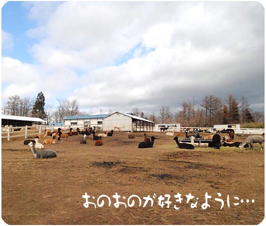 ひばらさんの栃木探訪-アルパカ牧場