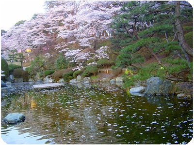 ひばらさんの栃木探訪-八幡山公園