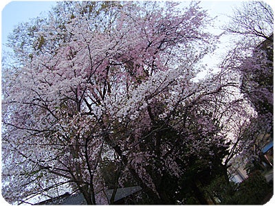 ひばらさんの栃木探訪-蒲生神社