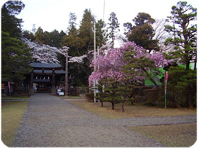 ひばらさんの栃木探訪-蒲生神社