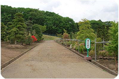 ひばらさんの栃木探訪-鹿沼　　絢爛郷土カヌマン