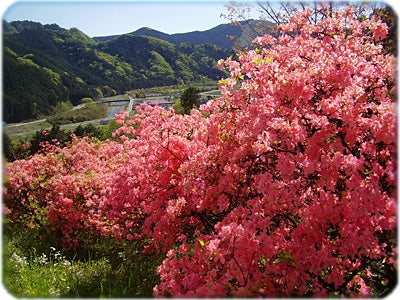 ひばらさんの栃木探訪-粟野　城山スカイローラー