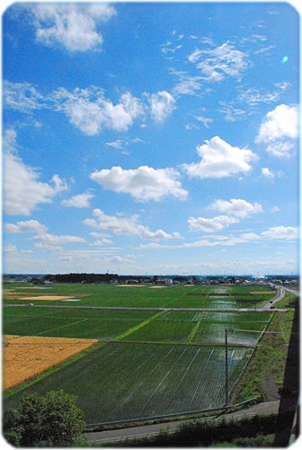 ひばらさんの栃木探訪-仁井田　高架橋