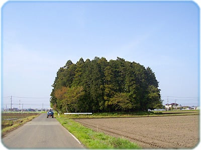 ひばらさんの栃木探訪-下栗大塚古墳