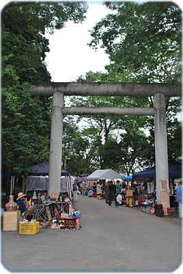 ひばらさんの栃木探訪-ひばら　大前神社　骨董市