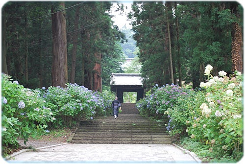 ひばらさんの栃木探訪-ひばらさん　大平山　大中寺　七不思議