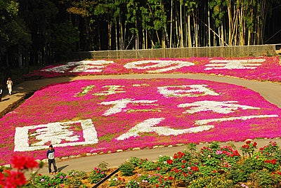 富士ぼたん園　大田原