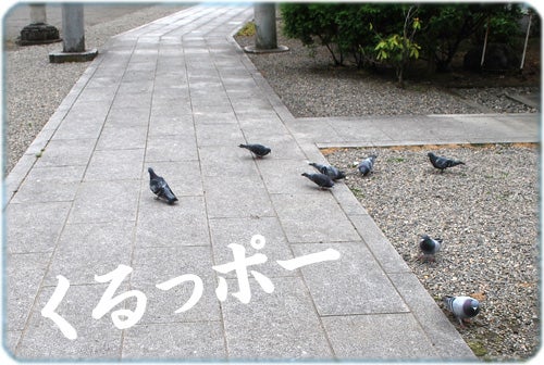 ひばらさんの栃木探訪-ひばらさん　報徳二宮神社