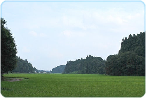 ひばらさんの栃木探訪-ひばらさんの栃木探訪　逆面　逆井戸