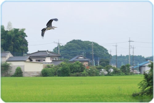 ひばらさんの栃木探訪-ひばらさんの栃木探訪　逆面　逆井戸