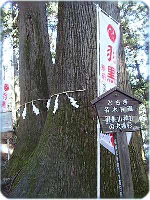 ひばらさんの栃木探訪-ひばらさんの栃木探訪　羽黒山