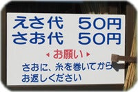 ひばらさんの栃木探訪-ひばらさんの栃木探訪　大川戸ドライブイン　つり