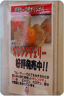 ひばらさんの栃木探訪-ひばらさんの栃木探訪　大田原　道の駅