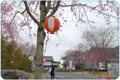 ひばらさんの栃木探訪-ひばらさんの栃木探訪　高根沢町　タンタン