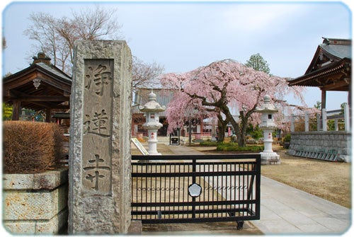 ひばらさんの栃木探訪-ひばらさんの栃木探訪　浄蓮寺