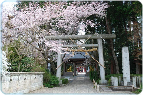 ひばらさんの栃木探訪-ひばらさんの栃木探訪　安住神社