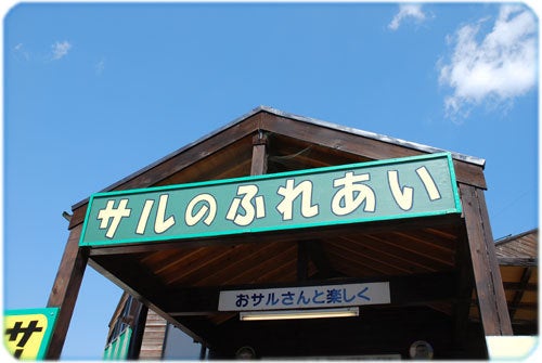 ひばらさんの栃木探訪-ひばらさんの栃木探訪　那須　モンキーパーク