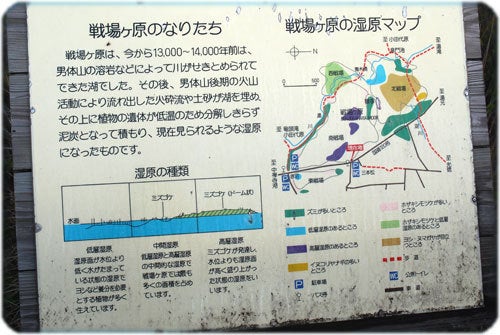 ひばらさんの栃木探訪-ひばらさんの栃木探訪　尾瀬　日光