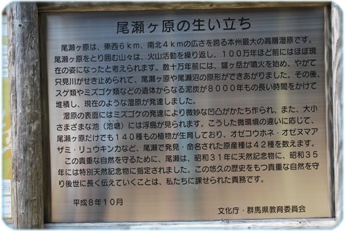 ひばらさんの栃木探訪-ひばらさんの栃木探訪　尾瀬