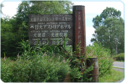 ひばらさんの栃木探訪-ひばらさんの栃木探訪　山王林道