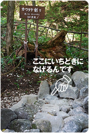 ひばらさんの栃木探訪-ひばらさんの栃木探訪　日光　二荒山神社中宮祠