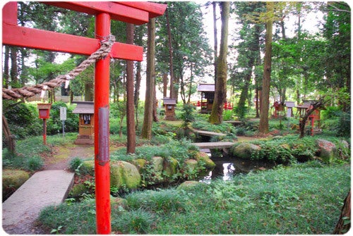 ひばらさんの栃木探訪-ひばらさんの栃木探訪　大神神社　室の八嶋