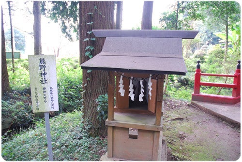 ひばらさんの栃木探訪-ひばらさんの栃木探訪　大神神社　室の八嶋