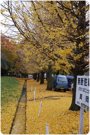 ひばらさんの栃木探訪-ひばらさんの栃木探訪　真岡市　産業祭