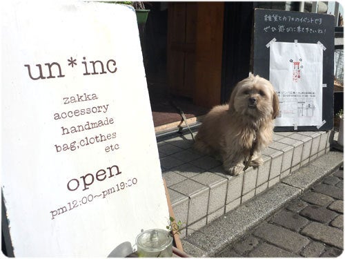 ひばらさんの栃木探訪-ひばらさんの栃木探訪　宇都宮市　あさり川こみち