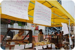 ひばらさんの栃木探訪-ひばらさんの栃木探訪　ぐるり市