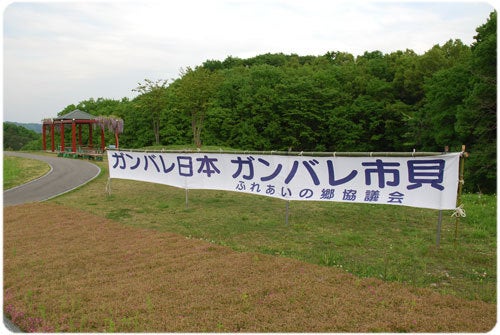 ひばらさんの栃木探訪-ひばらさんの栃木探訪　市貝　芝桜