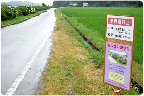 ひばらさんの栃木探訪-ひばらさんの栃木探訪　田川　あじさい