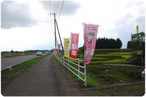 ひばらさんの栃木探訪-ひばらさんの栃木探訪　田んぼアート