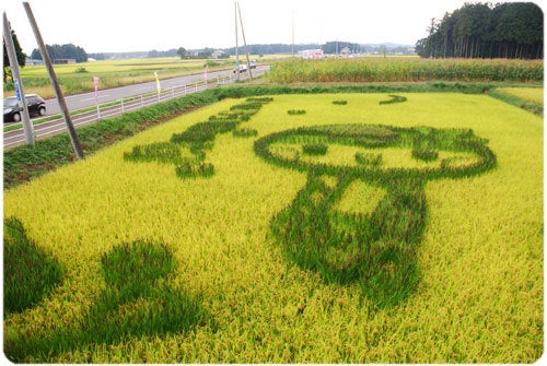 ひばらさんの栃木探訪-ひばらさんの栃木探訪　田んぼアート