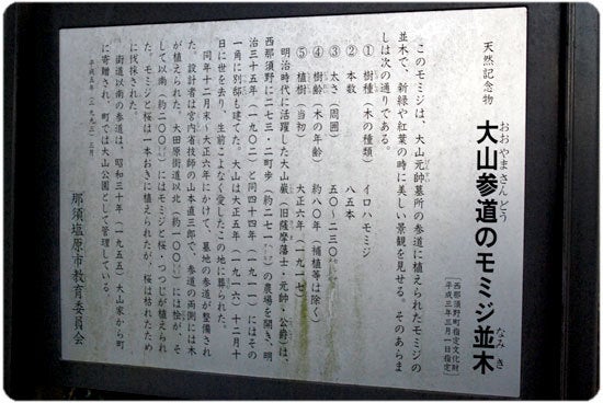 ひばらさんの栃木探訪-ひばらさんの栃木探訪　大山参道